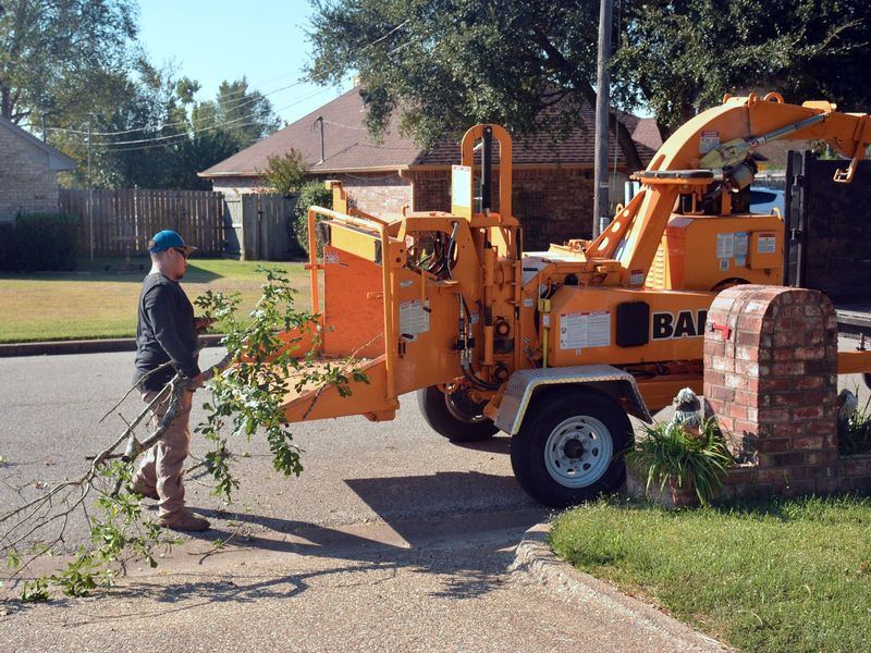 Tree removal job in the East Cobb neighborhood of Marietta