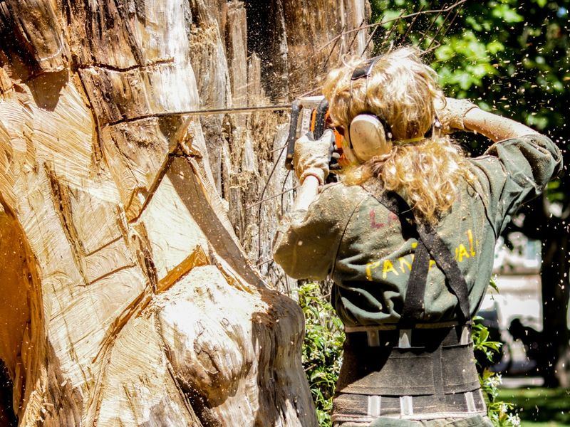 Tree removal job near Powder Springs, GA